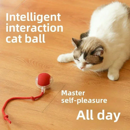Rechargeable Interactive Rolling Ball Toy – Automatic Electric Pet Toy for Dogs & Cats