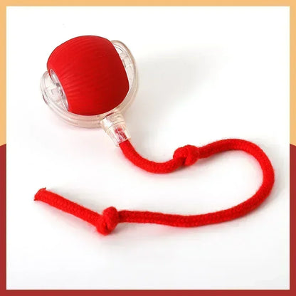 Rechargeable Interactive Rolling Ball Toy – Automatic Electric Pet Toy for Dogs & Cats