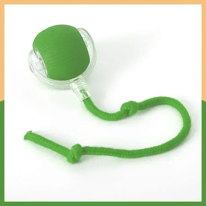 Rechargeable Interactive Rolling Ball Toy – Automatic Electric Pet Toy for Dogs & Cats