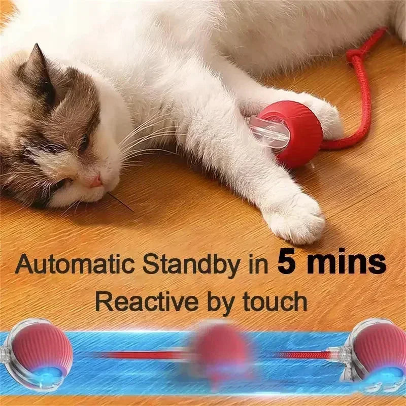 Rechargeable Interactive Rolling Ball Toy – Automatic Electric Pet Toy for Dogs & Cats