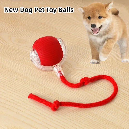 Rechargeable Interactive Rolling Ball Toy – Automatic Electric Pet Toy for Dogs & Cats