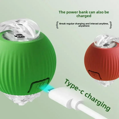 Rechargeable Interactive Rolling Ball Toy – Automatic Electric Pet Toy for Dogs & Cats